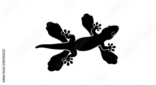 Silhouette of a Gecko A Reptilian Marvel in Black.