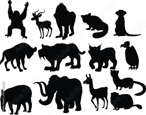 Collection of animal silhouettes including mammals and birds, perfect for wildlife, nature, and educational designs.