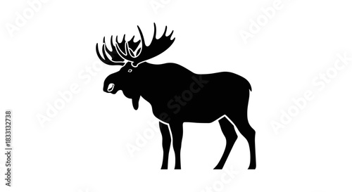 Silhouette of a Majestic Moose with Large Antlers.