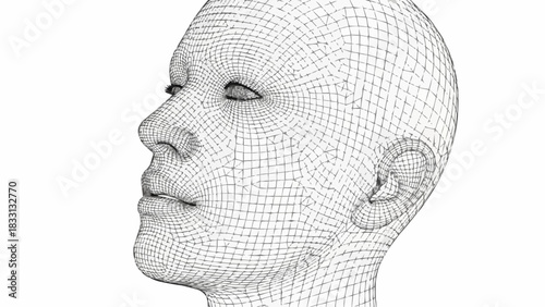 Wireframe Head - A Digital Representation of the Human Form.