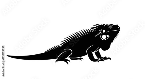 Silhouette of a Regal Iguana A Striking Reptilian Portrait.