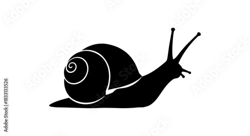 Silhouette of a Snail with Shell and Antennae.