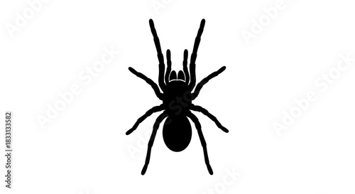 Silhouette of a Spider with Eight Legs.