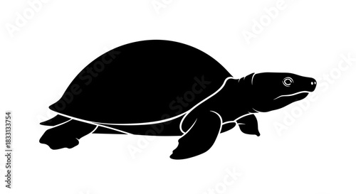 Silhouette of a Turtle A Symbol of Longevity and Wisdom 1.