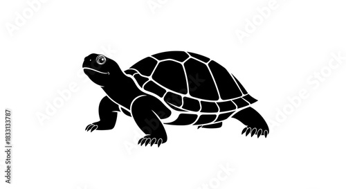 Silhouette of a Turtle with Detailed Shell Pattern 1.