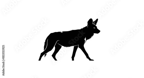 Silhouette of an African Wild Dog Walking.