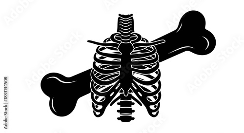 Skeleton and Bone Illustration Anatomy and Symbolism.