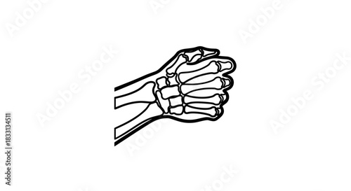 Skeleton Hand Illustration Anatomy and Bone Structure.