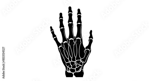 Skeleton Hand Illustration Spooky and Anatomical Design.
