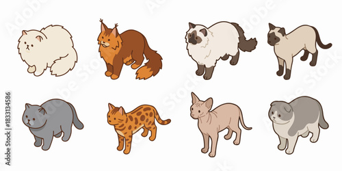 Famous Cat Breeds Vector Set – Cartoon Persian, Maine Coon, Siamese, British Shorthair, Bengal, Scottish Fold – Cute Pet Clipart Collection