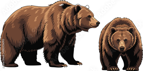 Animal, 24-Hour, Social, Writing, Communication, Brand, Location, Time, Aviation, Ecology, and Waste Icons