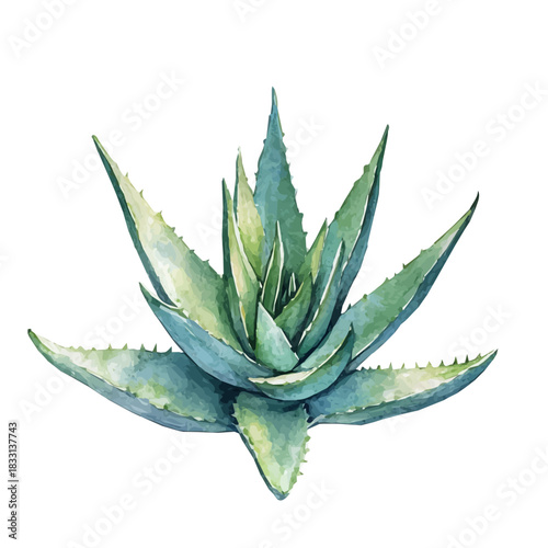 An Elegant aloe vera plant painting design collection, Hand-painted watercolor style, vectorized, vector set available in EPS, Simple design, EPS format set, watercolor painting
