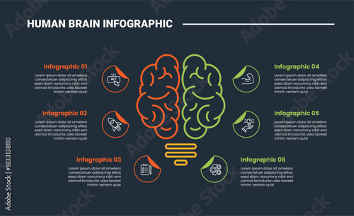 Human Brain anatomy infographic process diagram with brain on lightbulb lamp with big main comparison side with dark background bright outline style 6 points