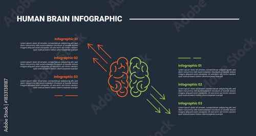Human Brain anatomy infographic process diagram with top view brain with arrow pointer for comparison opposite with dark background bright outline style 6 points