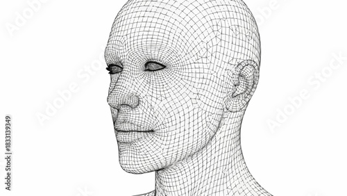 Detailed wireframe portrait of a human head, artistic digital rendering.