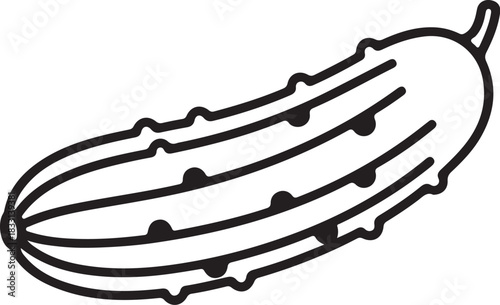Hand drawn outline illustration of a fresh green pickle vector