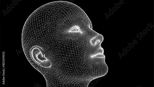Three dimensional wireframe model of a human head profile.