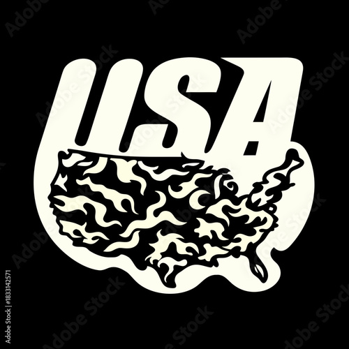 U S A map outline filled with abstract camouflage pattern 1