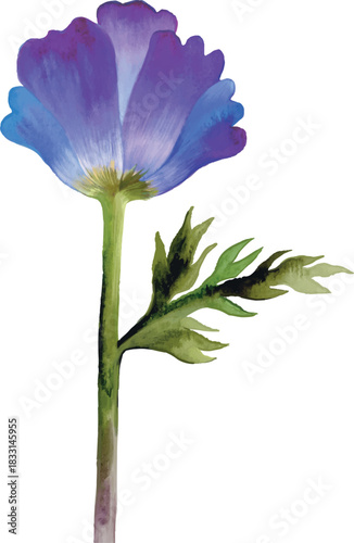 Nlue purple watercolor flower 