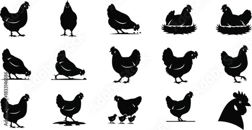Collection of chicken silhouettes in various poses for farm or food concepts
