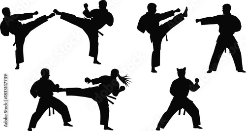 Martial arts silhouette, karate kick pose, taekwondo stance, black belt action, dynamic motion, discipline, agility, strength, training, combat style