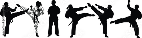Martial arts silhouette, karate high kick, taekwondo pose, black belt training, dynamic motion, combat stance, discipline, agility, strength, focus
