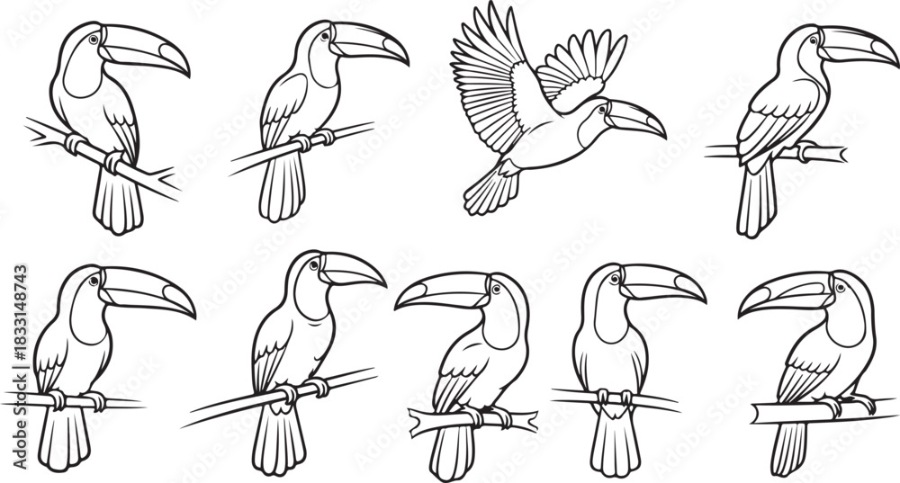 Obraz premium birds on a branch