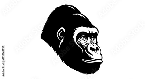 Detailed Gorilla Head Illustration with Intense Gaze.