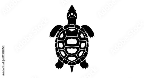 Black and White Turtle Illustration with Detailed Shell Pattern 1.