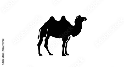 Silhouette of a Bactrian Camel Standing Tall in the Desert.
