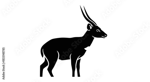 Elegant Silhouette of a Male Bushbuck Antelope in Profile.