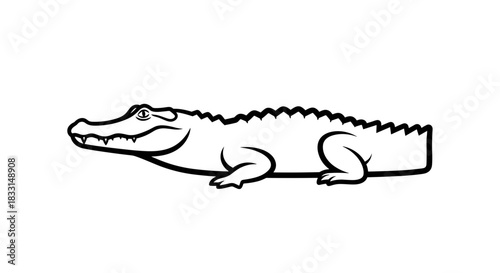 Detailed Line Art of a Relaxing Alligator.