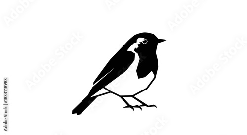 Elegant Black and White Bird Illustration on White Background.