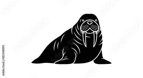 Majestic Walrus Illustration A Detailed Black and White Depiction.