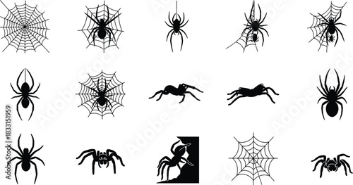 Collection of spiders and webs in black silhouette for halloween
