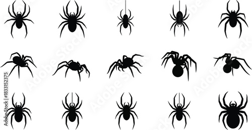 Collection of black spider silhouettes for halloween or horror designs