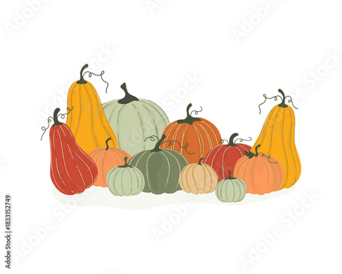 Pumpkin concept. Fruits of different varieties, colors, and sizes. Good harvest. Objects collected in a set. Organic food. Vector illustration.