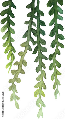 Flowy watercolor branches 