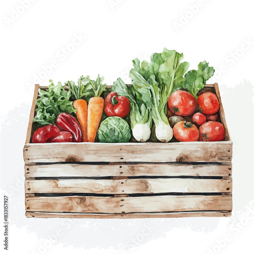 A Wooden crate with vegetable painting design set, Hand-painted style, vector set available in EPS, and An Elegant watercolor painting design collection