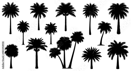Palm tree silhouette set tropical plant vector collection isolated on white background for summer vacation design