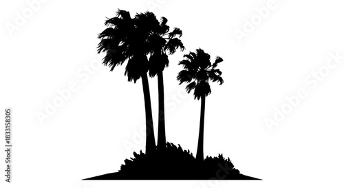 Silhouette of palm trees a vector illustration of tropical plants isolated on a white background