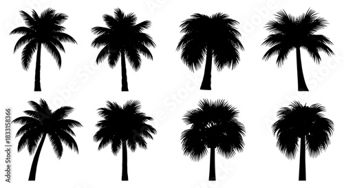 Palm tree silhouette collection tropical vector illustration set perfect for summer designs and exotic vacation themes
