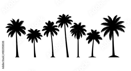 Palm tree silhouettes tropical vector illustration of exotic trees isolated on white background for travel and summer designs