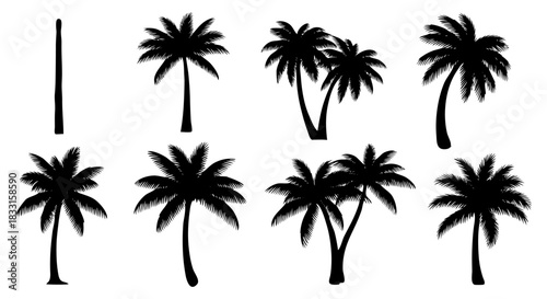 Set of palm tree silhouettes tropical plant vector illustrations design elements for summer and vacation themes isolated on white background
