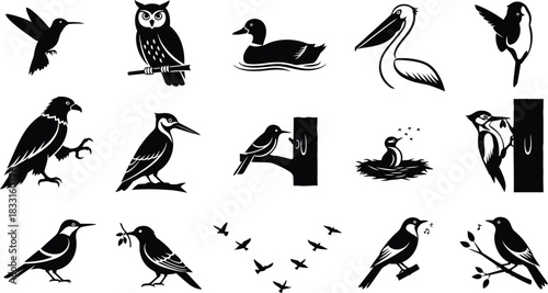 Collection of black and white bird silhouettes in various poses and styles