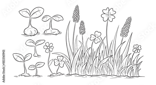Monochrome line art set of growing plants and spring flowers. Doodle illustration of garden elements including seedlings, sprouts, grass, and clover