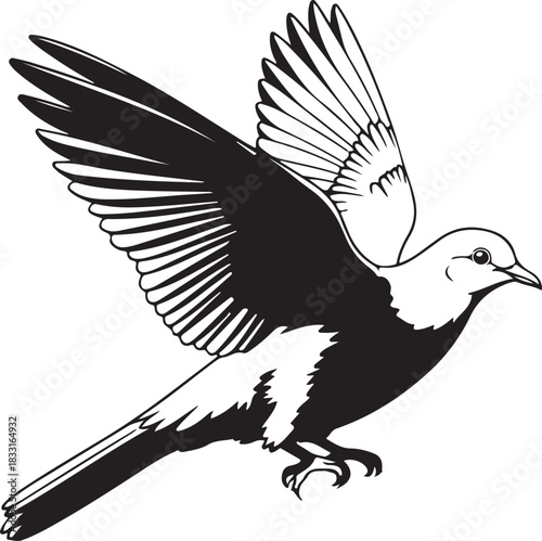 dove vector illustration isolated
