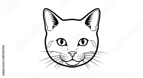 Detailed vector drawing featuring a close up of a cat's face presented in black and white design