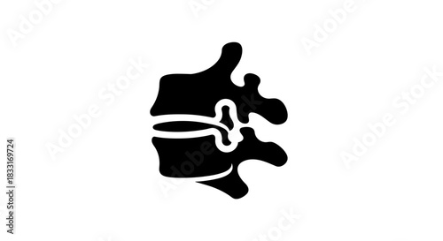 Human Spine Anatomy Vertebrae Structure and Spinal Health.