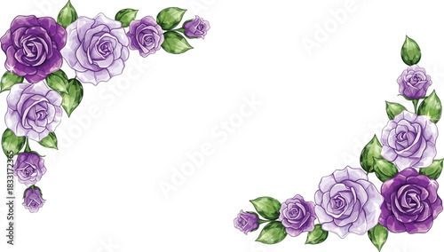 Elegant Purple Roses Vector Floral Corner Frame Set for Wedding Invitations and Card Designs